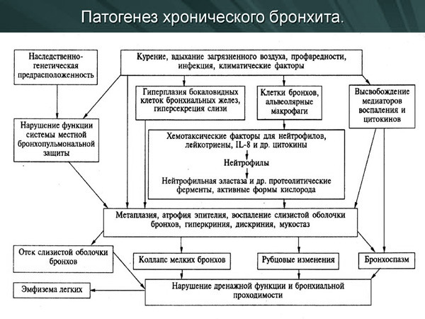 Патогенез дизентерии схема